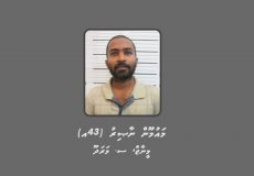 މައުމޫން-ނާޞިރު