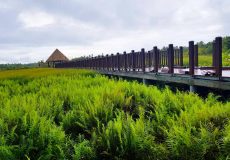 Addu-nature-park1