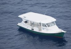 Gehllunu Dhoani