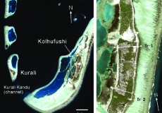 Kolhufushi