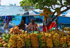 Male-Market