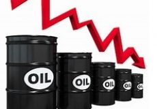 Oil