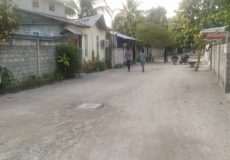 ތ.ވޭމަންޑޫ