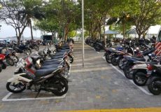 medium_193239