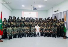 mndf-876x585