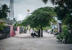 naj_8204